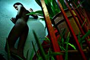 Nude Girl showing her Tits Pussy and Ass